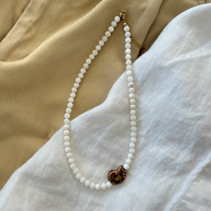 Shell Necklace