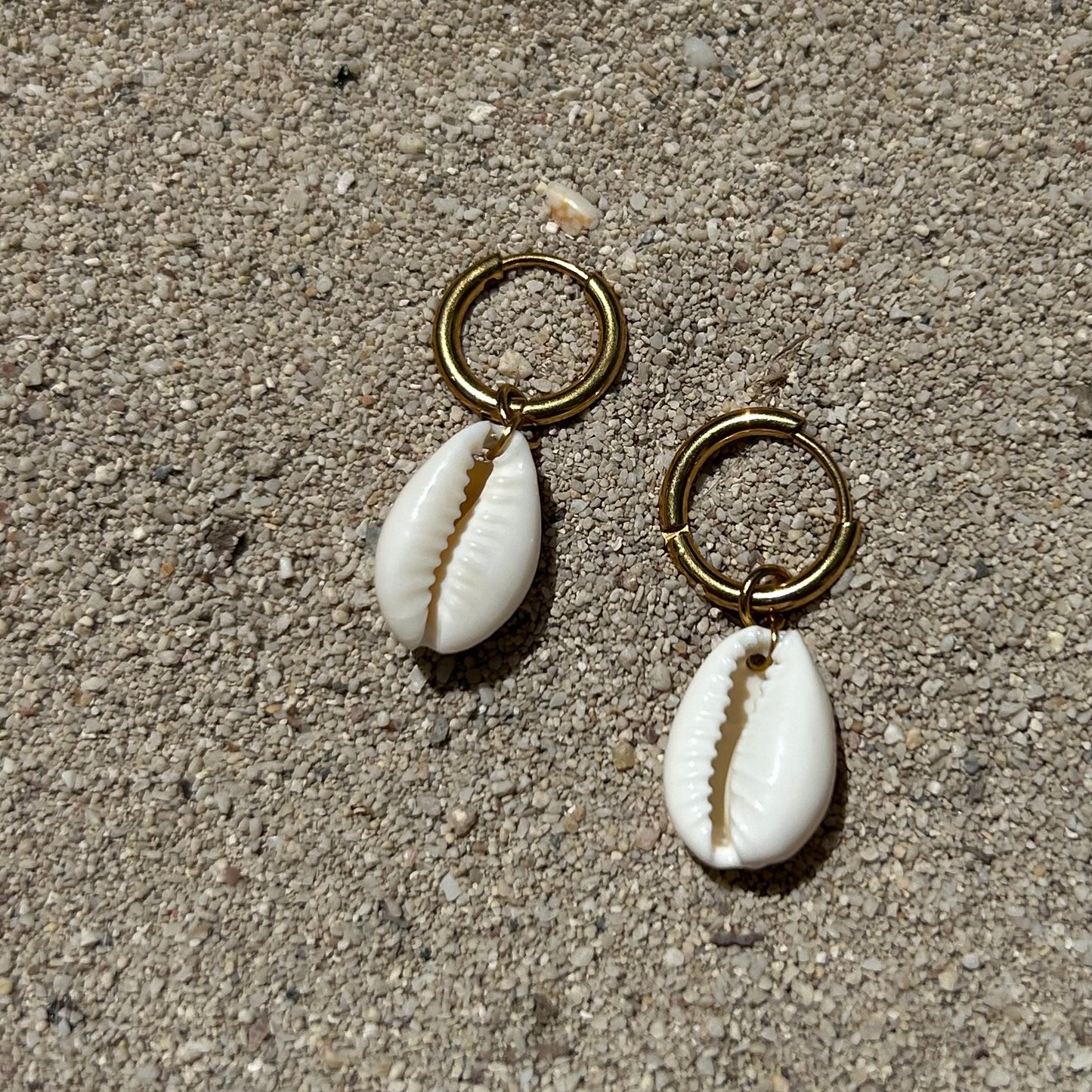 Shell Earrings